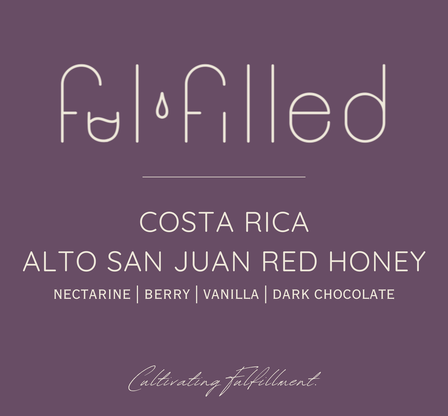 COSTA RICA | ALTO SAN JUAN RED HONEY