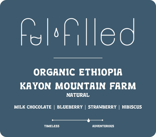 ETHIOPIA | KAYON MOUNTAIN FARM | ORGANIC NATURAL