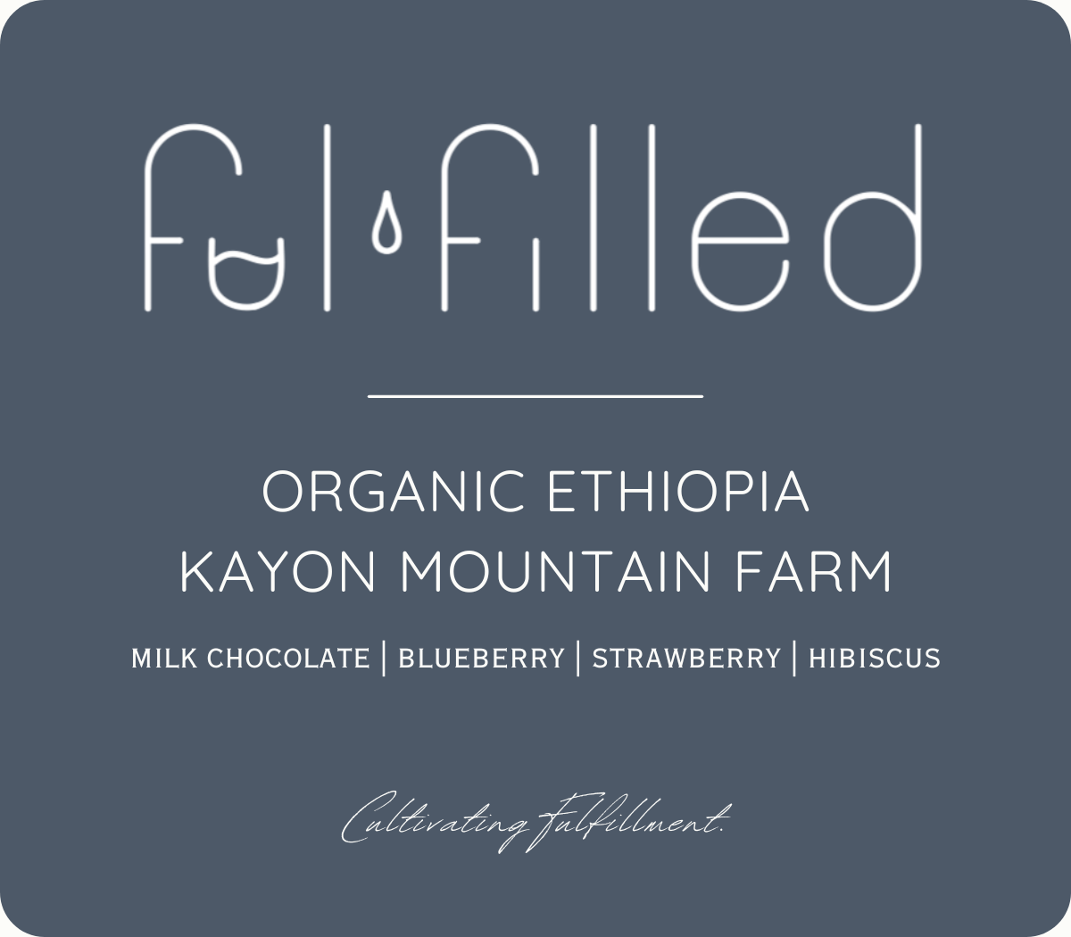 ETHIOPIA | SHAKISO GUJI | ORGANIC NATURAL