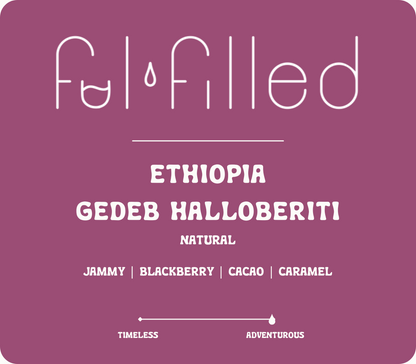ETHIOPIA GEDEB HALLOBERITI